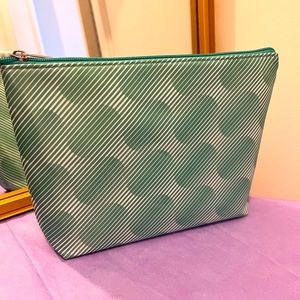 Sea foam green cosmetic case *NWOT*